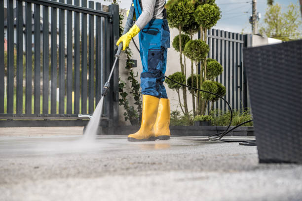 Best Fence Cleaning  in Chickasaw, AL